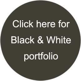 Click here for artist's black and white portfolio