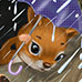 thumbnail pic
